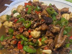 -俭寨大盘鸡·缸子肉·小公鸡·新疆菜(云通店)
