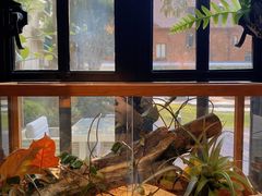 -一尺花园(安和花园店)