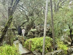 -绮园景区