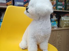 -帕帕拉兹宠物(亚洲旗舰店)