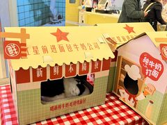 -红星前进面包牛奶公司(君太店)