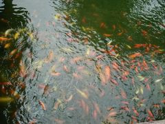 -肯德基(豫园店)