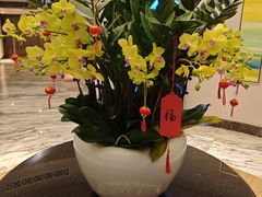 -阳澄湖费尔蒙酒店