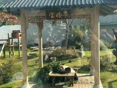 -无锡动物园·太湖欢乐园