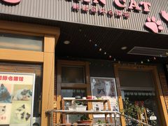 -十年猫舍·猫咪专门店(普陀店)