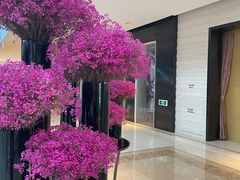 -上海中航虹桥机场泊悦酒店
