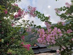 -大罗山风景区