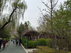 -迎泽公园