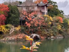 -溪口-滕头旅游景区