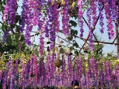 -呀路古热带植物园