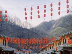 -栾川竹海野生动物园