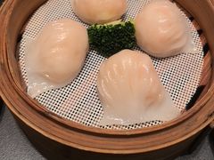 -东方御宴海鲜酒楼(棕泉酒店)