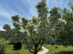 -国家植物园南园