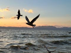 -捞渔河湿地公园