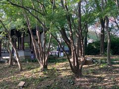 -秋霞圃