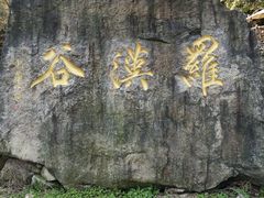 -四明山国家森林公园