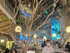 -桂满陇·海市蜃楼·黑金(国金店)