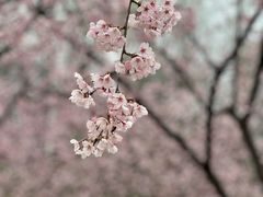 -白塘生态植物园
