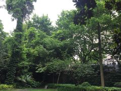 -巴金故居