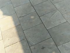 -武清南湖绿博园