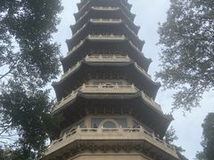 -灵谷景区