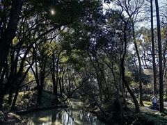 -汇龙潭