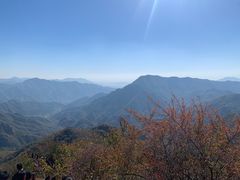 -大岭沟猕猴桃谷风景区