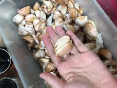 大蒜-清真永恒华威肉饼(潘家园店)