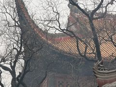 -南岳衡山风景名胜区-南岳大庙