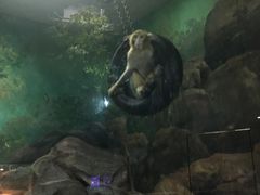 -福州罗源湾海洋世界旅游区