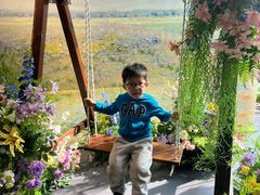 -陕西自然博物馆