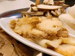 猴头菇-太婆天府山珍酒楼(亚运村店)