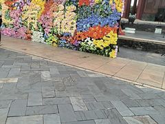 -珠海圆明新园
