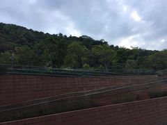 -香港大学