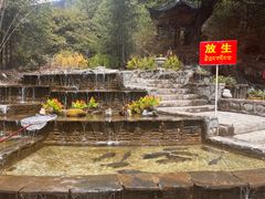 -卡定沟景区
