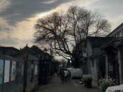 -南锣鼓巷