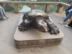 -西园戒幢律寺