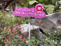 -人民公园(罗湖区)