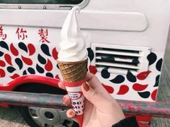 -富豪雪糕车流动点(尖沙咀店)