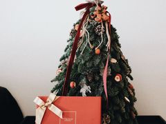 -布歌东京(益田假日店)