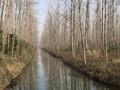 -合肥滨湖国家森林公园
