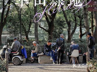 街头随拍｜华山绿地｜闹市区里的街心公园