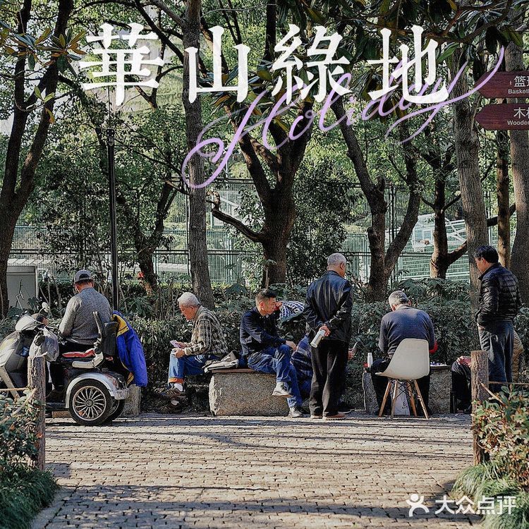 街头随拍｜华山绿地｜闹市区里的街心公园