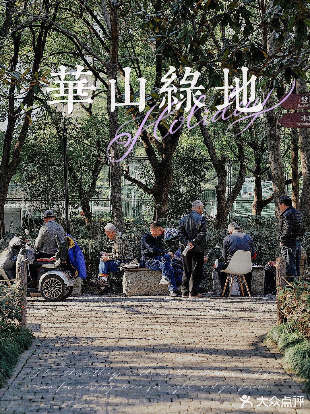 街头随拍｜华山绿地｜闹市区里的街心公园
