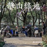 街头随拍｜华山绿地｜闹市区里的街心公园