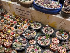 -瑞虹新天地月亮湾