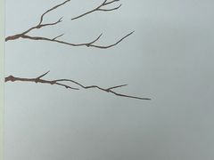 -塔云山