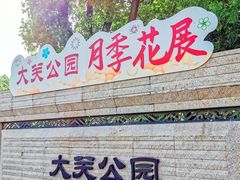 -大关公园