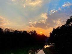 -上海海湾国家森林公园