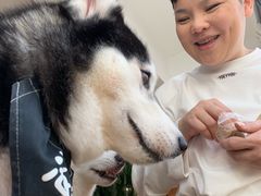 -Husky Go! 哈士奇体验馆·宠物咖啡厅狗咖